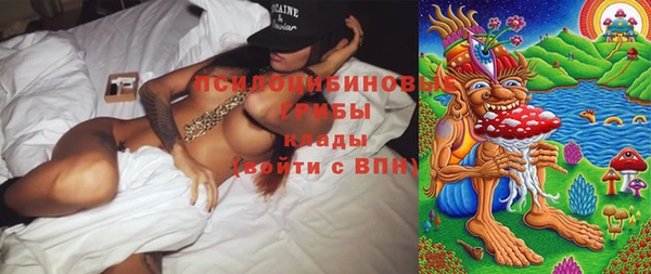 молекула духа Алзамай