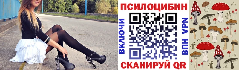 Галлюциногенные грибы MAGIC MUSHROOMS  Купить где  Болгар 