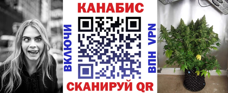 Купить  Болгар  Шишки марихуана MAZAR 